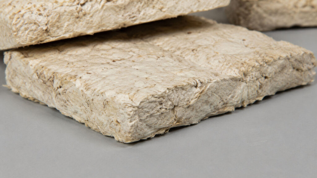Mycelium isolatie: het biobased isolatiemateriaal dat groeit uit schimmels Mycellium isolatieplaten